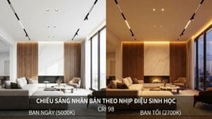 Mô phỏng hệ thống chiếu sáng sinh học HCL tự động điều chỉnh ánh sáng từ trắng ban ngày sang vàng ấm thư giãn ban đêm